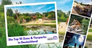 Die Top 10 Zoos & Tierparks in Deutschland