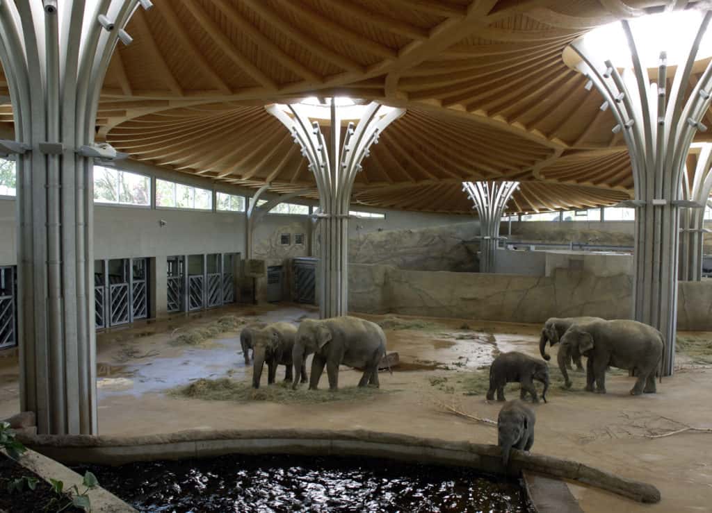 Kölner Zoo Elefantenhaus