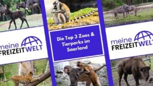 Die Top 3 Zoos & Tierparks im Saarland