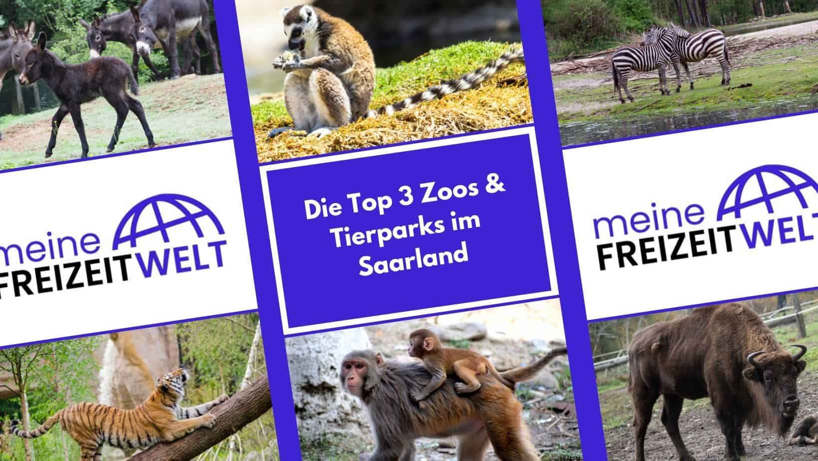 Die Top 3 Zoos & Tierparks im Saarland