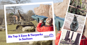 Die Top 3 Zoos & Tierparks in Sachsen