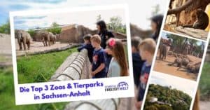 Die Top 3 Zoos & Tierparks in Sachsen-Anhalt