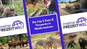 Die Top 5 Zoos & Tierparks in Niedersachsen
