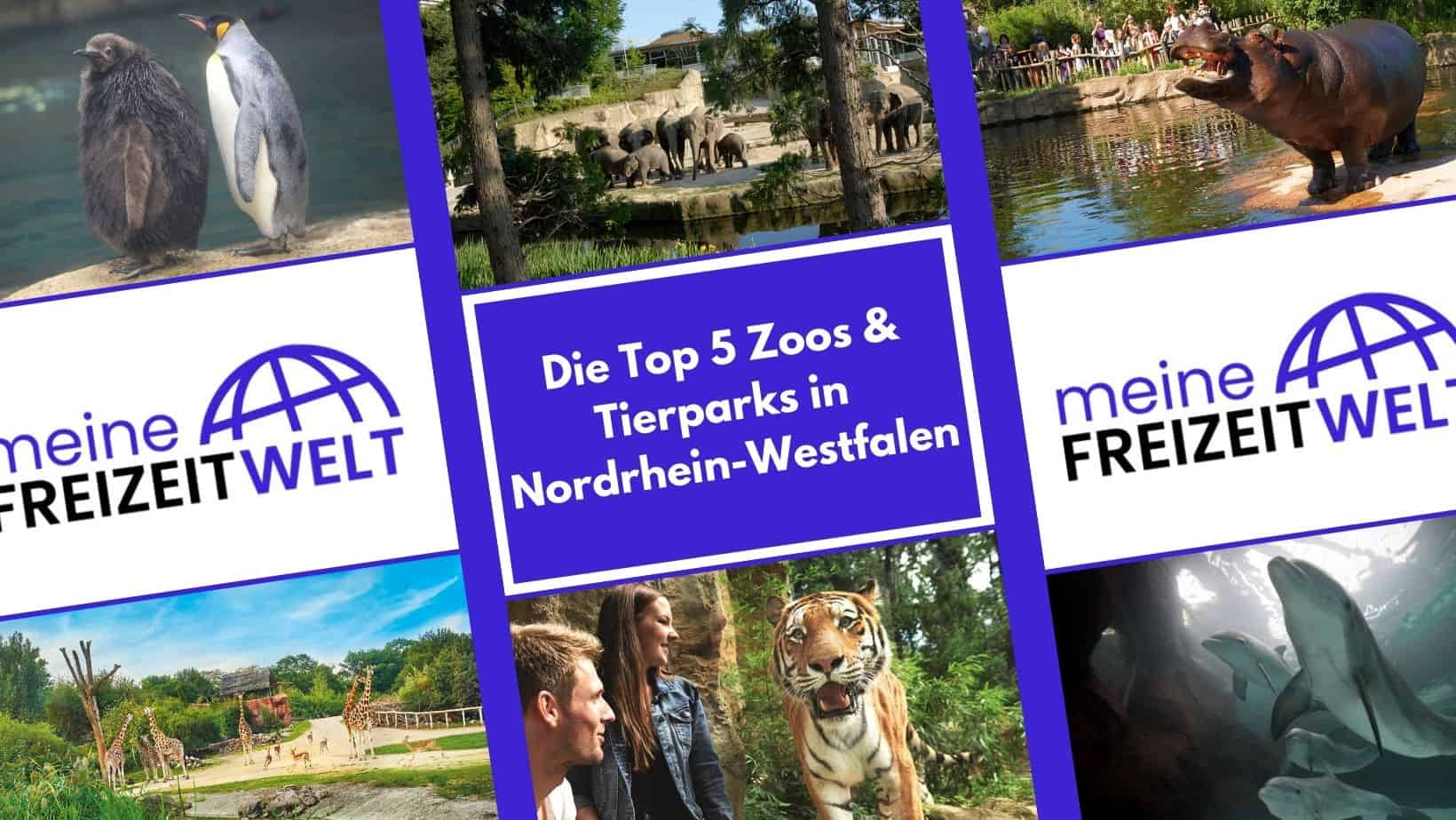 Die Top 5 Zoos & Tierparks in Nordrhein-Westfalen