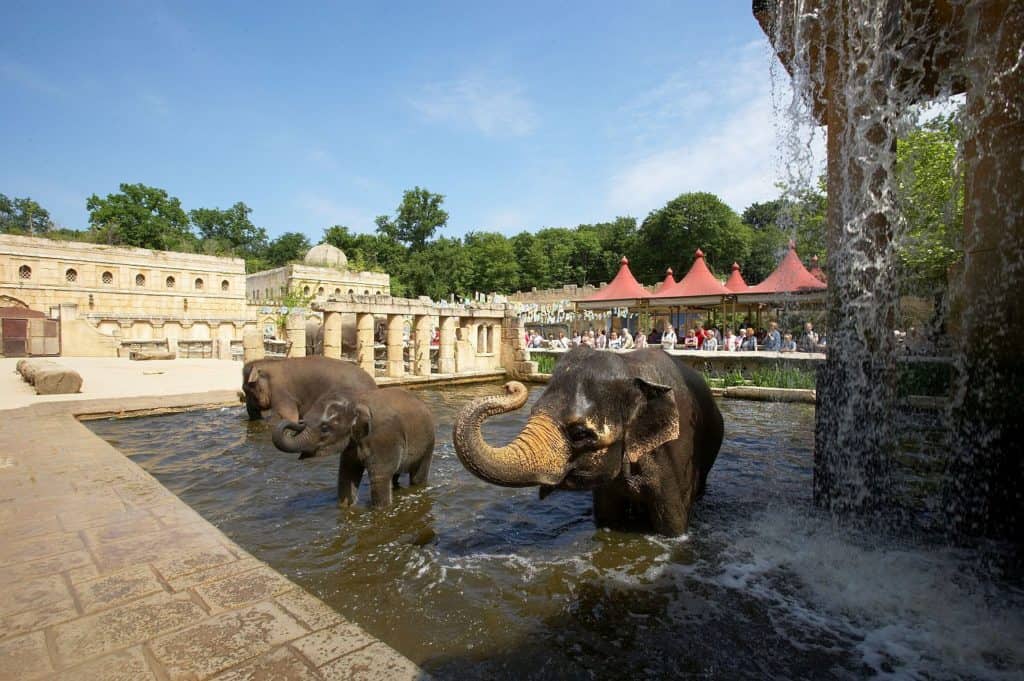 Erlebnis Zoo Hannover Dschungelpalast Elefantenbad